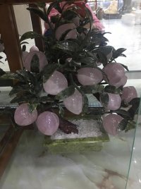 Cây đào thạch anh hồng 18 quả