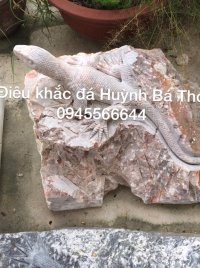 Thằn lằn đá sân vườn