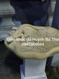 Thằn lằn đá sân vườn