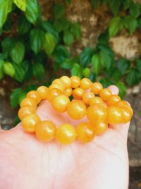 Vòng tay hổ phách mật lạp bơ cao cấp 12li 