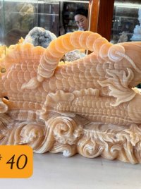 Cá rồng kim long - đá ngọc